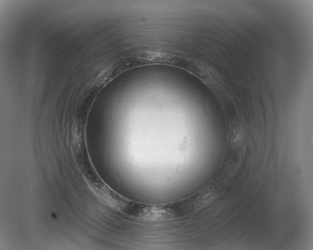 X0000081280607200701181745