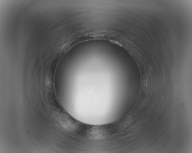 X0000081280608200701181745