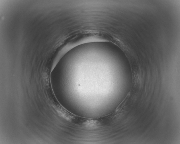 X0000081280609200701181745