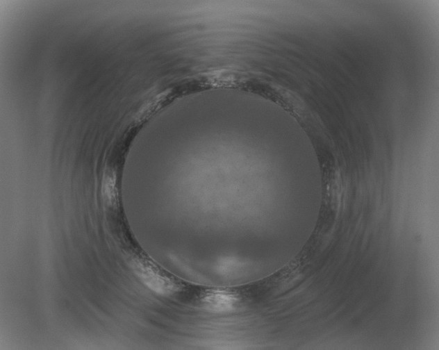 X0000081280610200701181745