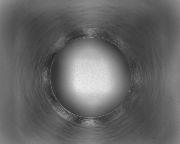 X0000081280611200701181745