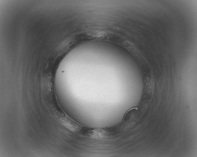 X0000081280612200701181745