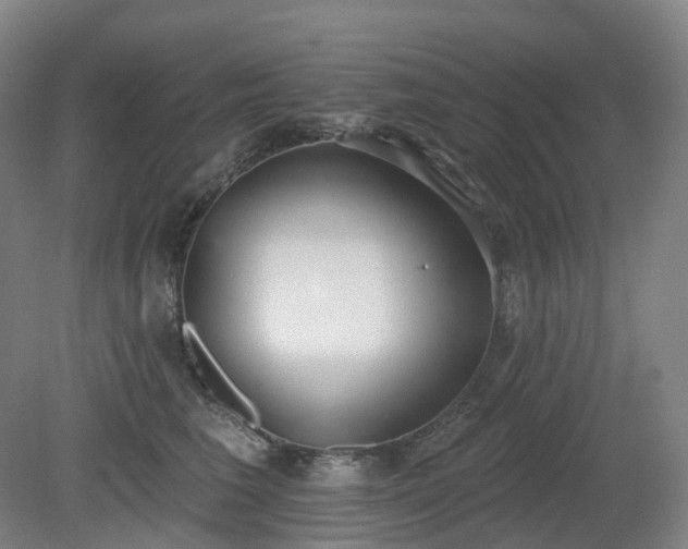 X0000081280613200701181745