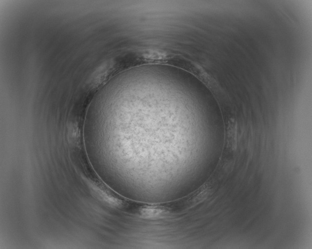 X0000081280614200701181745