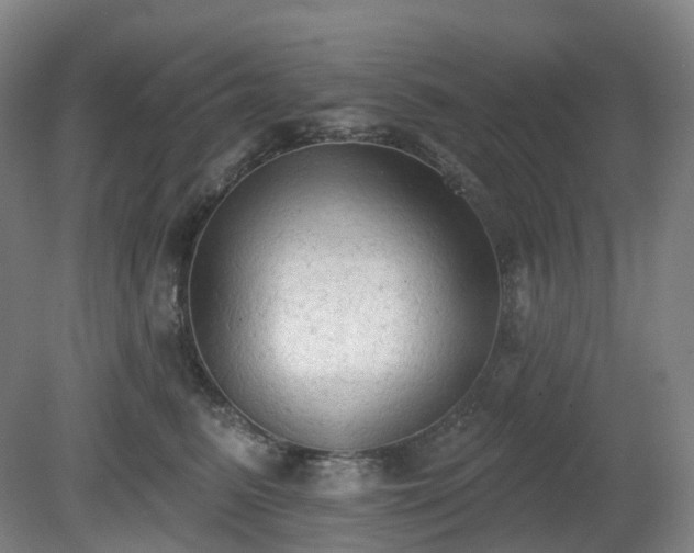 X0000081280615200701181745