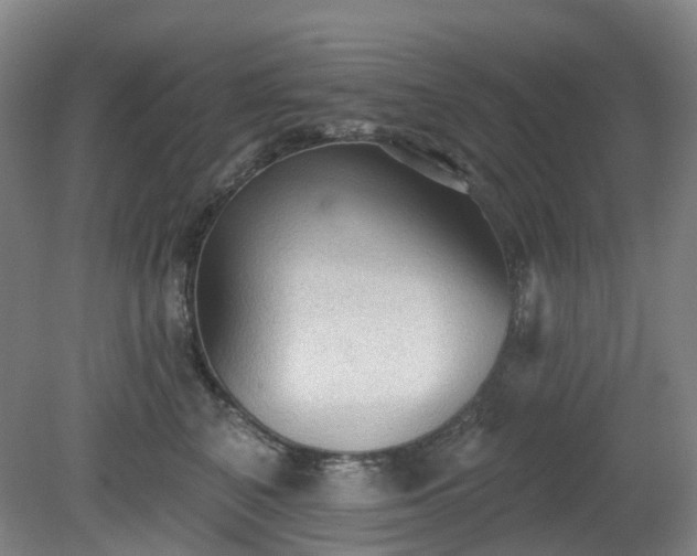 X0000081280616200701181745