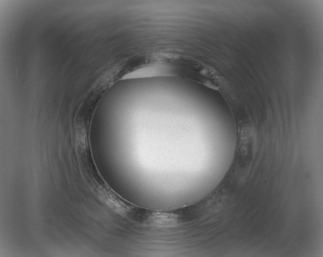 X0000081280617200701181745