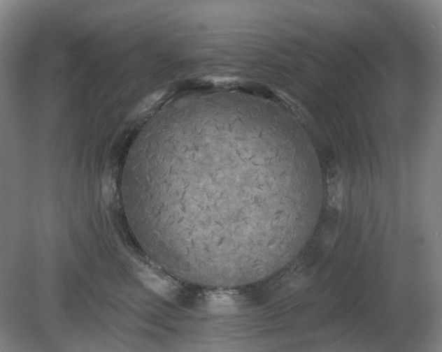 X0000081280618200701181744