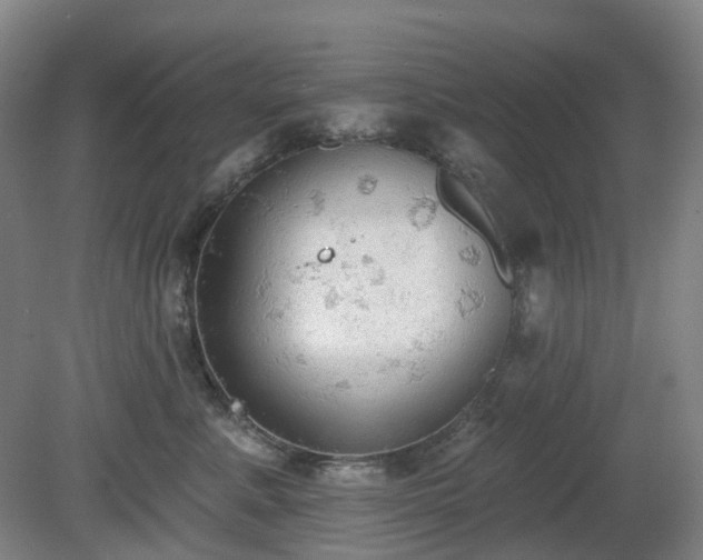 X0000081280619200701181744