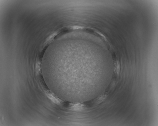 X0000081280621200701181744