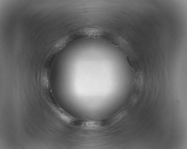 X0000081280622200701181744