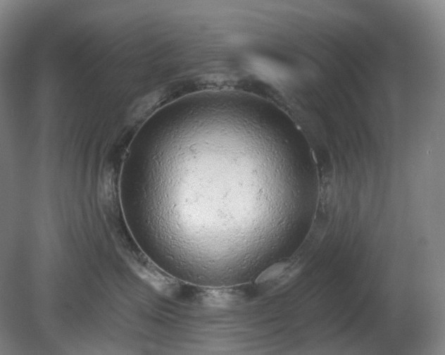 X0000081280623200701181744