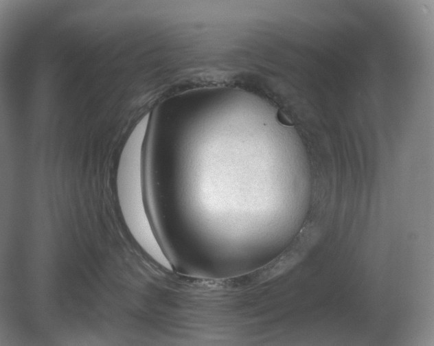 X0000081280624200701181744