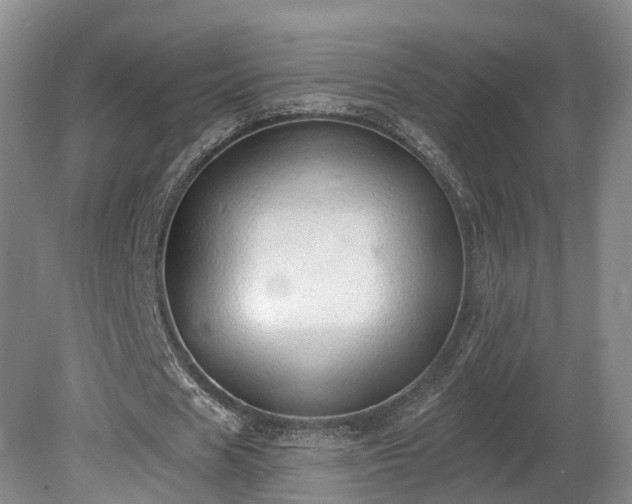 X0000081280625200701181744