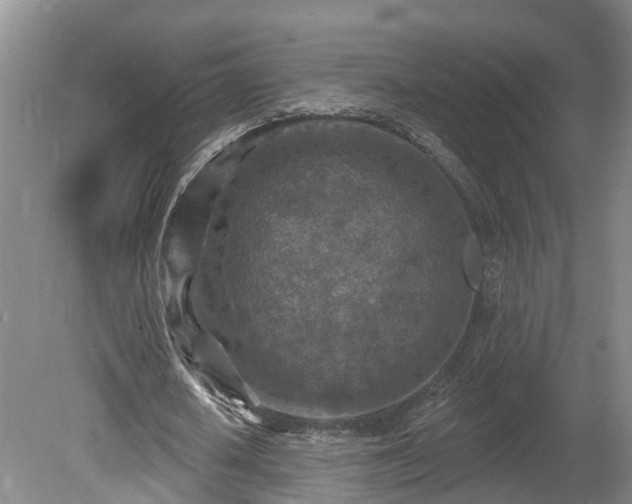 X0000081280626200701181744