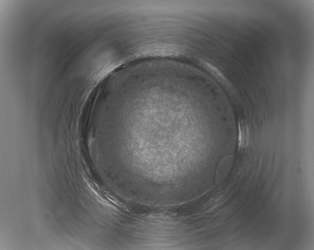 X0000081280627200701181744