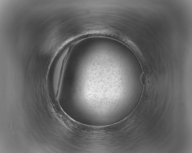 X0000081280628200701181744