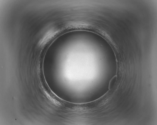 X0000081280629200701181744