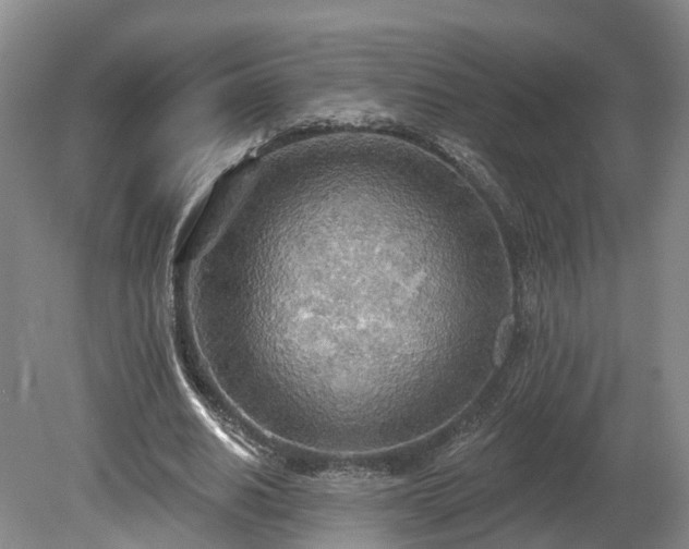 X0000081280630200701181744