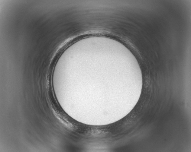 X0000081280632200701181744