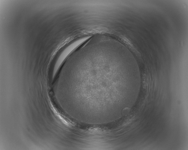 X0000081280634200701181744