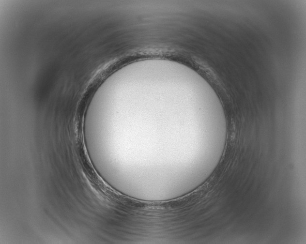 X0000081280636200701181744