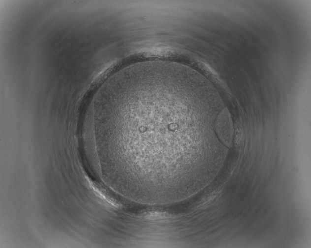 X0000081280637200701181744