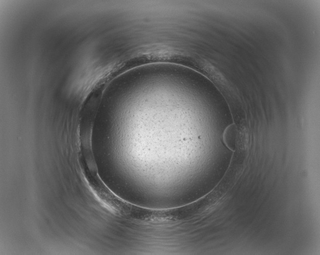 X0000081280638200701181744