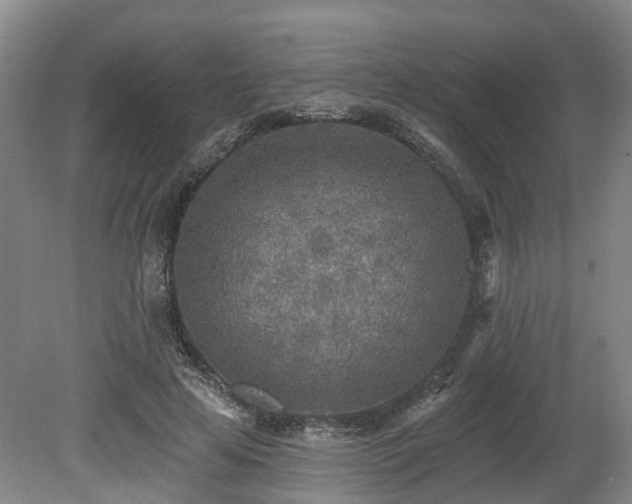 X0000081280641200701181744