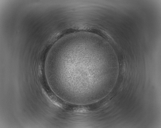 X0000081280643200701181744