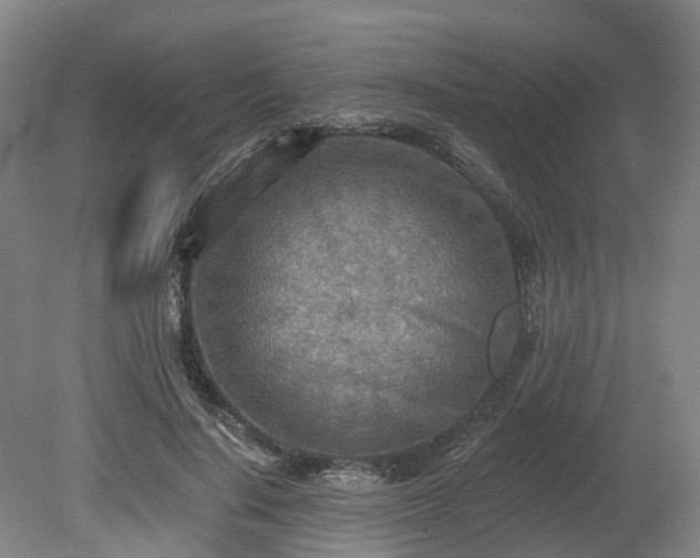 X0000081280644200701181744