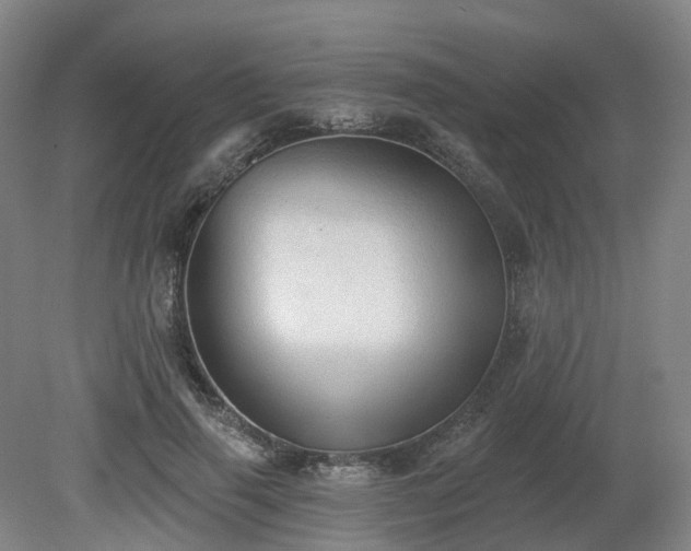 X0000081280645200701181744