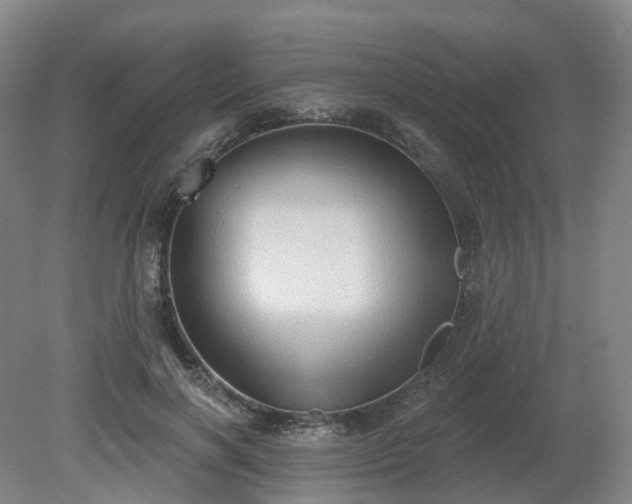 X0000081280646200701181744