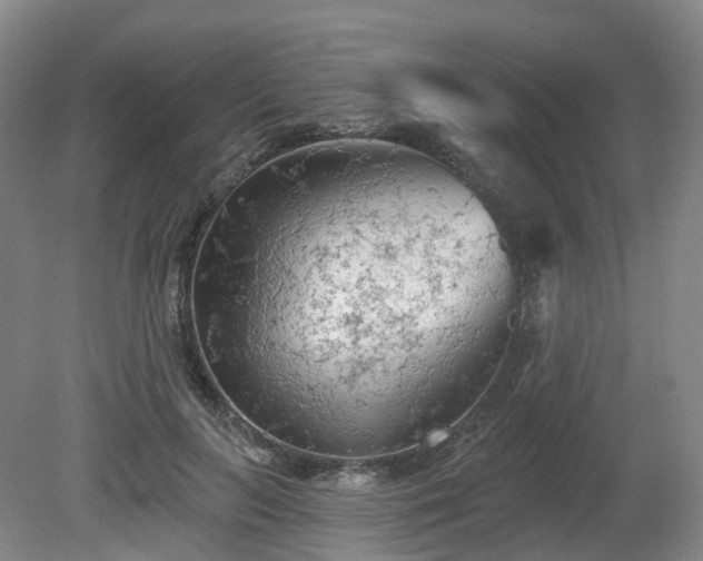 X0000081280647200701181744