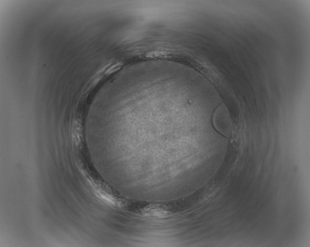 X0000081280648200701181744