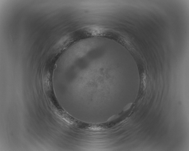 X0000081280650200701181744