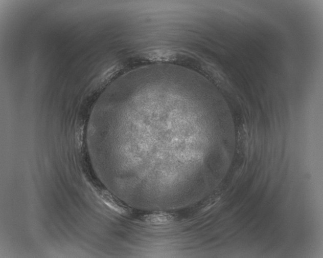 X0000081280652200701181744