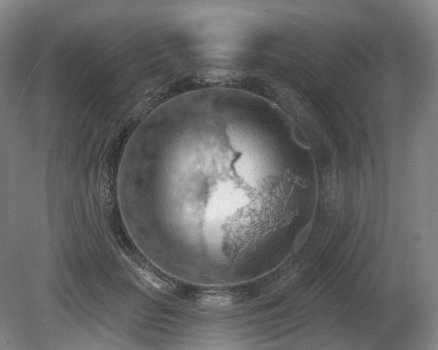 X0000081280653200701181744