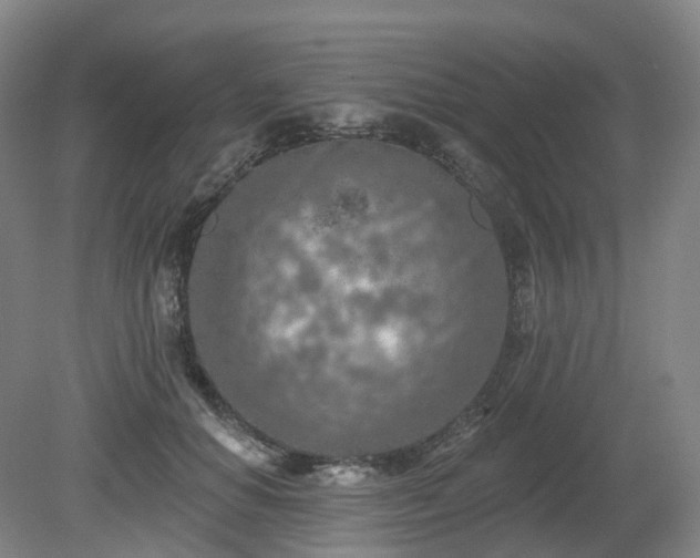 X0000081280654200701181744