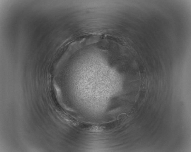 X0000081280656200701181744