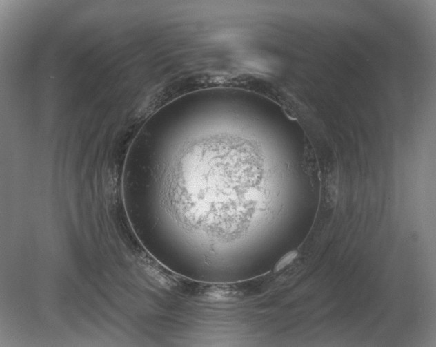 X0000081280657200701181744