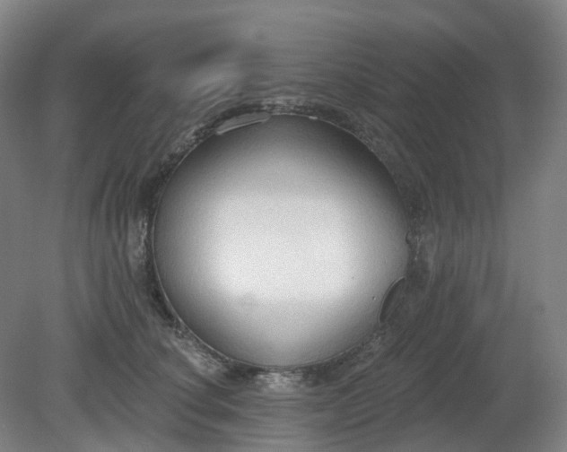 X0000081280660200701181744