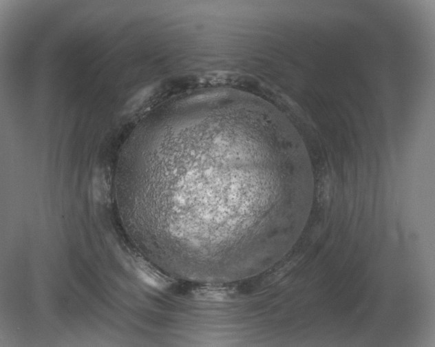 X0000081280661200701181744