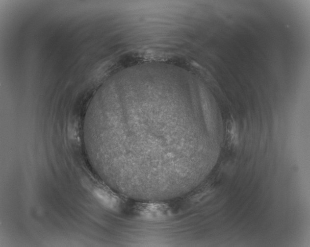 X0000081280663200701181744