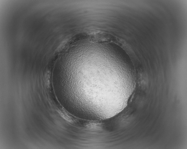 X0000081280664200701181744