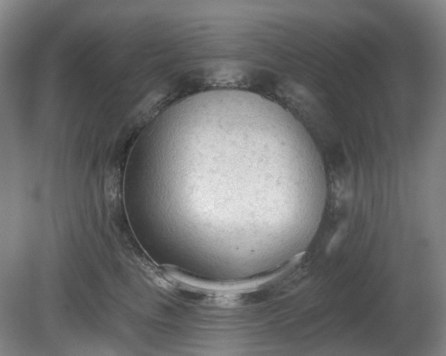 X0000081280665200701181744