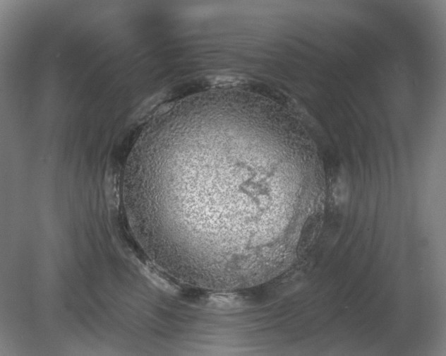 X0000081280666200701181744