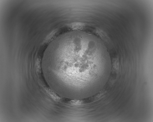 X0000081280667200701181744