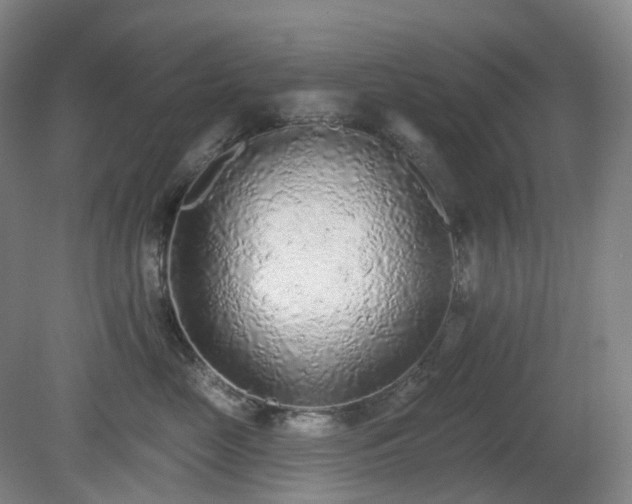 X0000081280669200701181744