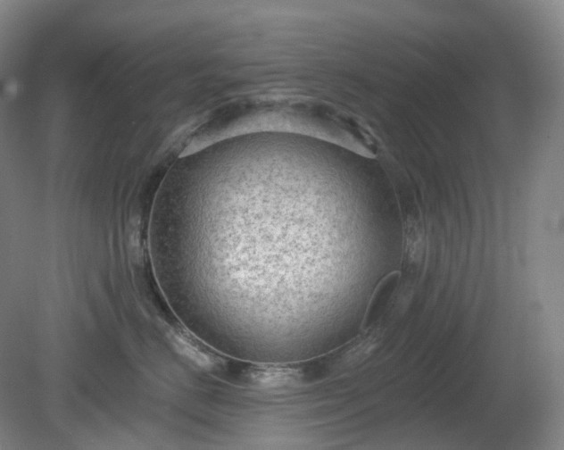 X0000081280670200701181744